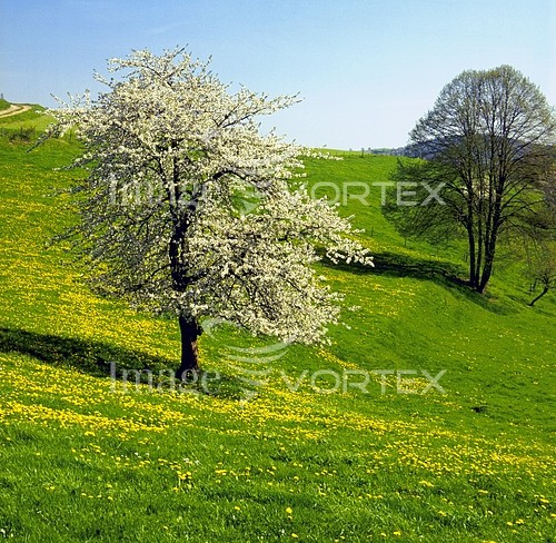 Nature / landscape royalty free stock image #231922527