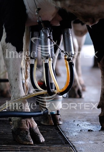 Industry / agriculture royalty free stock image #231122611