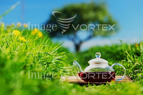 Food / drink royalty free stock image #231566977