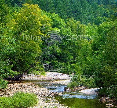 Nature / landscape royalty free stock image #233759919