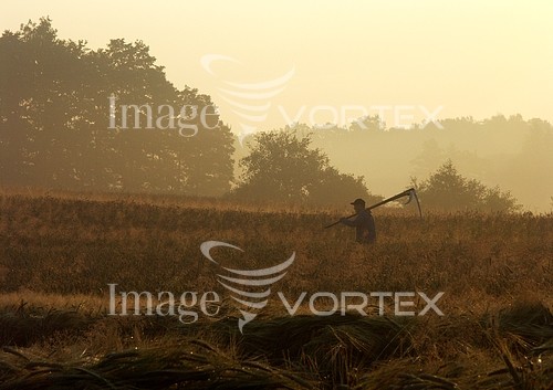 Industry / agriculture royalty free stock image #239857089