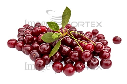 Food / drink royalty free stock image #241048796