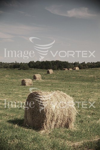 Industry / agriculture royalty free stock image #241095904