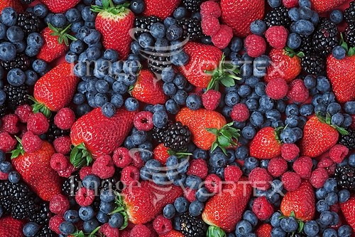 Food / drink royalty free stock image #243716232