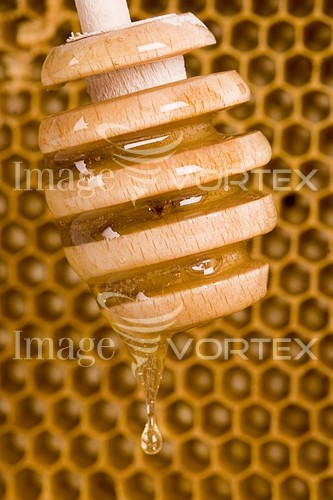 Food / drink royalty free stock image #244674570