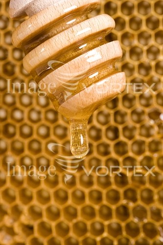 Food / drink royalty free stock image #244926367
