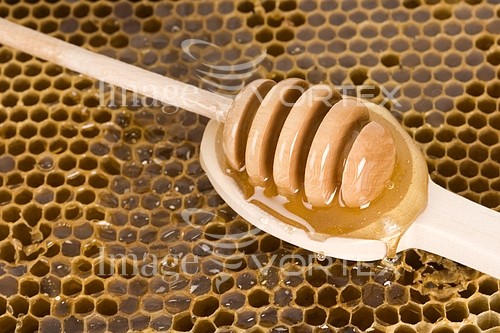 Food / drink royalty free stock image #244967325