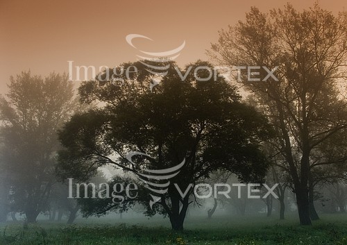 Nature / landscape royalty free stock image #245528824