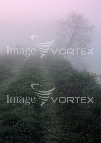 Nature / landscape royalty free stock image #245723832