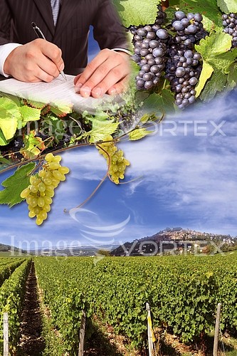 Industry / agriculture royalty free stock image #246649150