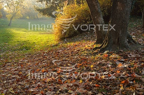 Park / outdoor royalty free stock image #247639338