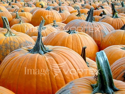 Industry / agriculture royalty free stock image #249491413