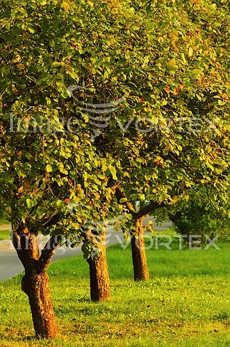Industry / agriculture royalty free stock image #250839730