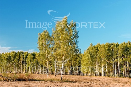 Nature / landscape royalty free stock image #251438953