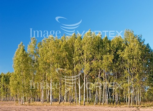 Nature / landscape royalty free stock image #251611978