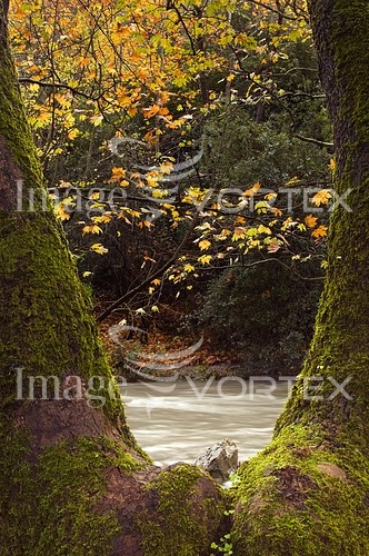 Nature / landscape royalty free stock image #252700166
