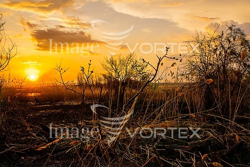 Sunset / sunrise royalty free stock image #252617841