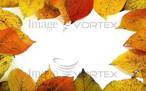 Background / texture royalty free stock image #253028799