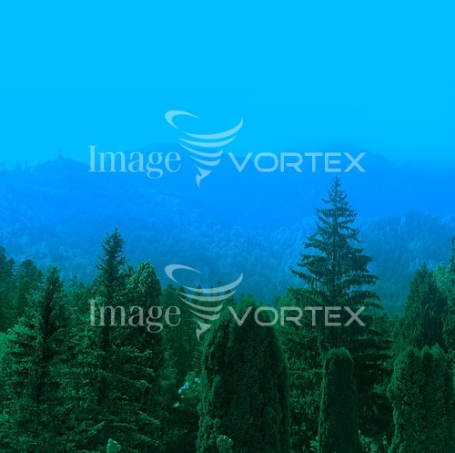 Nature / landscape royalty free stock image #254031744