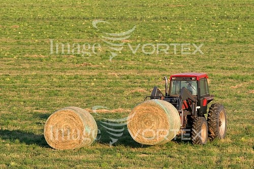 Industry / agriculture royalty free stock image #254414888