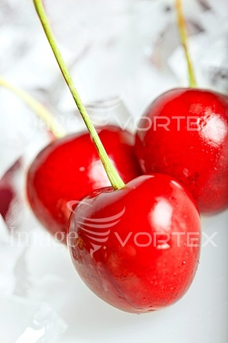 Food / drink royalty free stock image #255738498