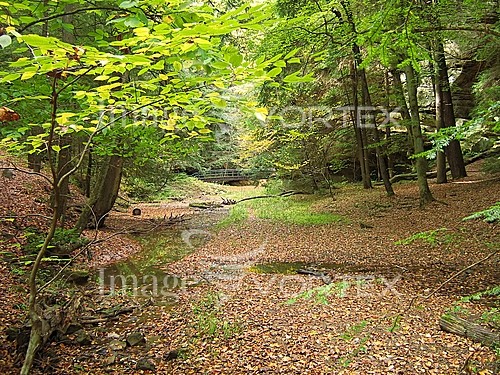 Nature / landscape royalty free stock image #256900658