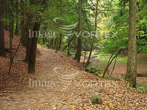 Nature / landscape royalty free stock image #256910134