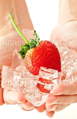 Food / drink royalty free stock image #256121878
