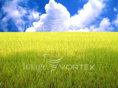 Industry / agriculture royalty free stock image #257108284