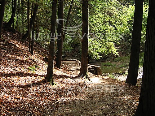 Nature / landscape royalty free stock image #258484225