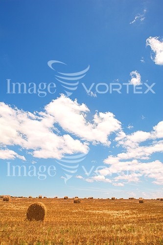Industry / agriculture royalty free stock image #258208304