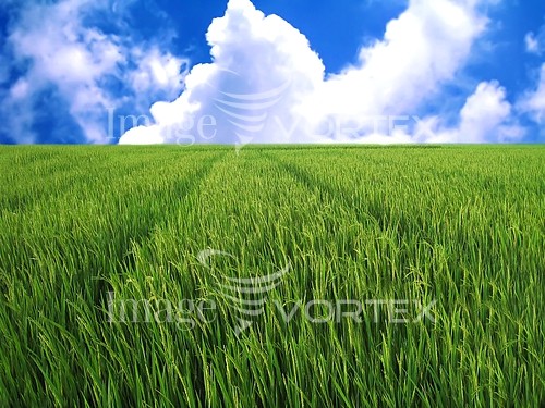 Industry / agriculture royalty free stock image #259013550