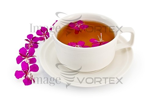 Food / drink royalty free stock image #260231983