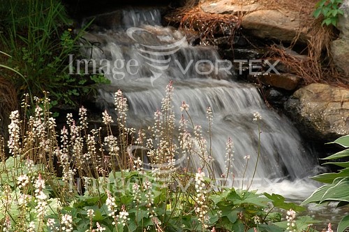Nature / landscape royalty free stock image #261794460