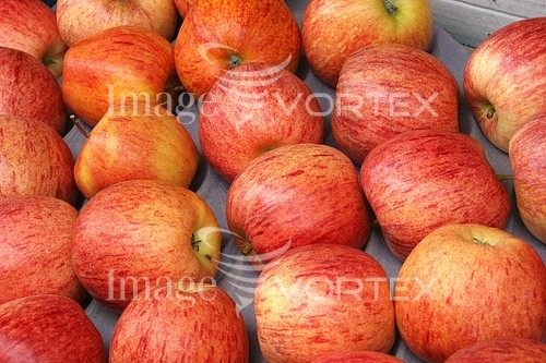 Food / drink royalty free stock image #262171673