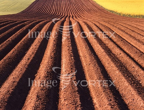 Industry / agriculture royalty free stock image #263131620
