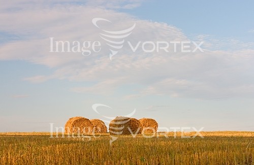 Industry / agriculture royalty free stock image #266178974