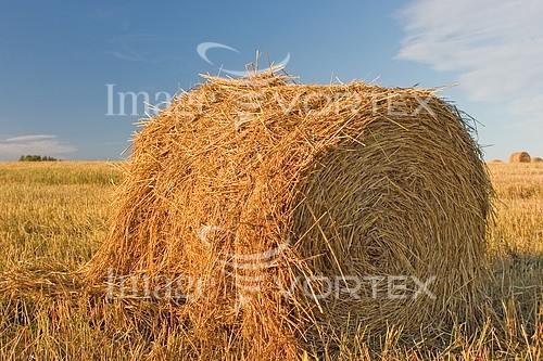Industry / agriculture royalty free stock image #266704902