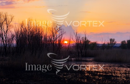 Sunset / sunrise royalty free stock image #267584351