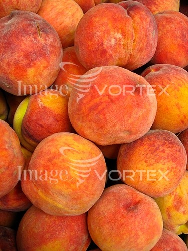 Food / drink royalty free stock image #267081698
