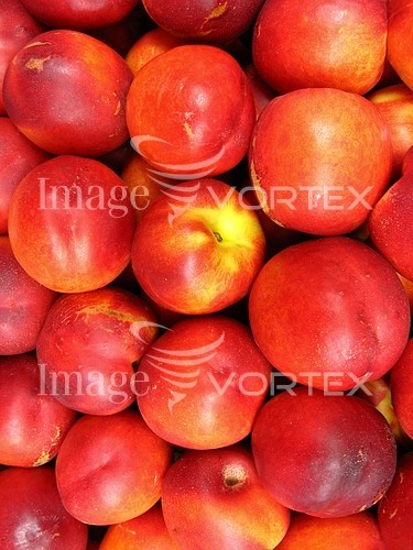 Background / texture royalty free stock image #267104882