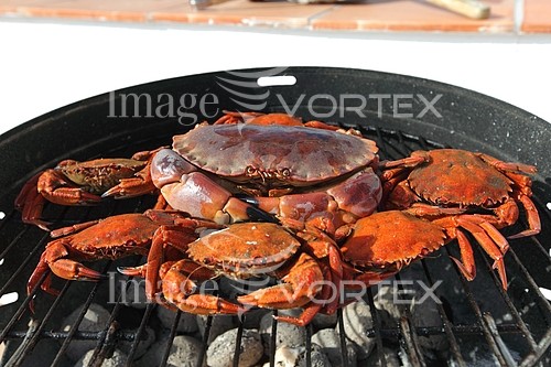 Food / drink royalty free stock image #269735089