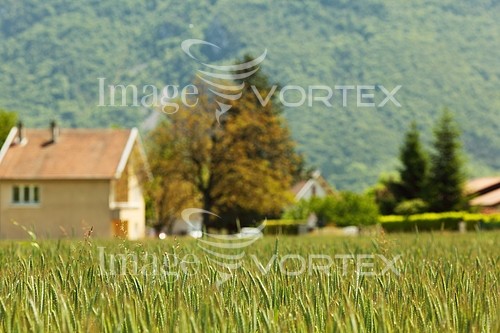 Industry / agriculture royalty free stock image #271071039