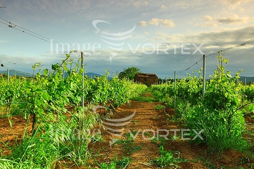 Industry / agriculture royalty free stock image #271238025
