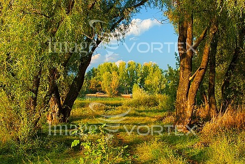 Nature / landscape royalty free stock image #272451701