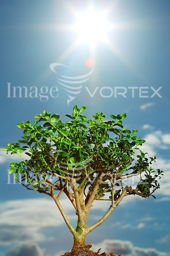 Nature / landscape royalty free stock image #273280097