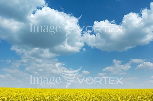 Industry / agriculture royalty free stock image #274334582