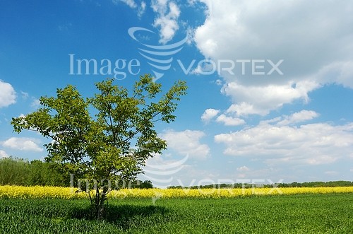 Industry / agriculture royalty free stock image #274402461