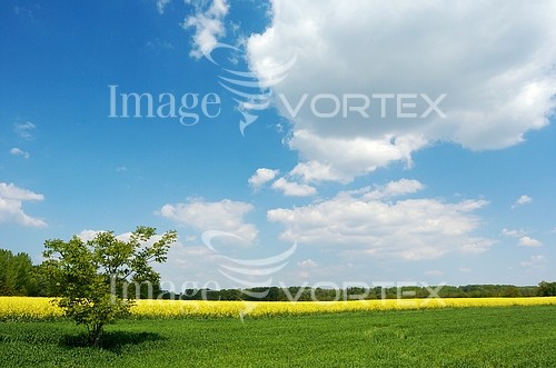 Industry / agriculture royalty free stock image #274424246