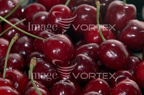 Food / drink royalty free stock image #274436410